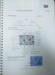 Pathology Rapid Revision 6.5 Marrow Notes