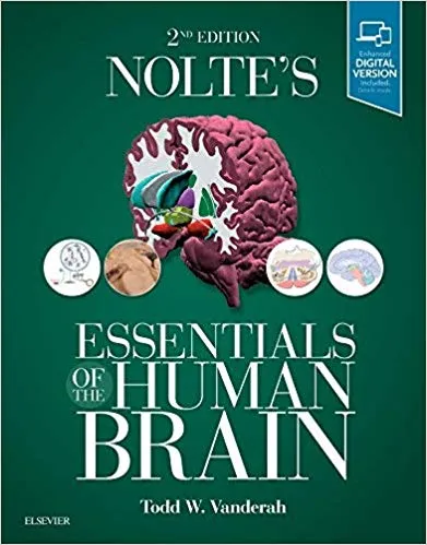Nolte's Essentials of the Human Brain 2nd Edition 2018 By Todd Vanderah PhD