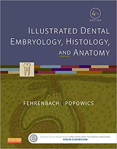 Illustrated Dental Embryology, Histology, and Anatomy 4th Edition 2015 By Margaret J. Fehrenbach RDH MS
