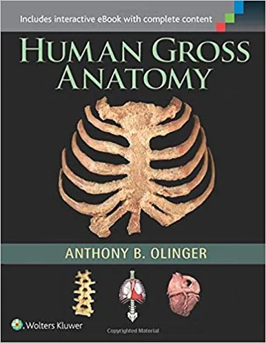 Human Gross Anatomy 1st Edition 2015 By Anthony B. Olinger
