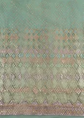 Pista Green Color Net Embroidered Kali