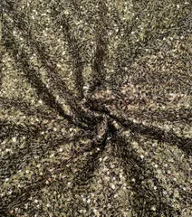 Heavy Double Sequins work on Net (Khichadi) fabric