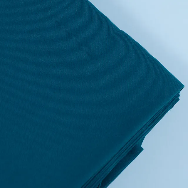 Firozi Color Pure Pashmina fabric