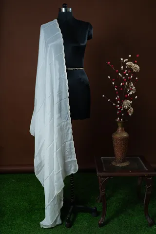 Dyeable Chinon Chiffon Scalped Embroidered Dupatta