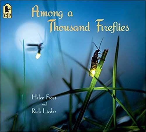Among A Thousand Fireflies