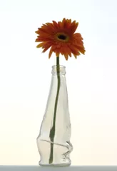 Drunken Bottle Vase