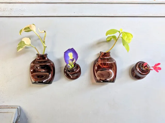 Mini Planter Fridge Magnet - Set of 4