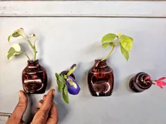 Mini Planter Fridge Magnet
