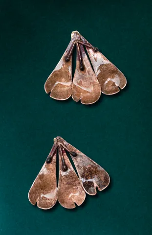 Copper Earrings - 3 Petals