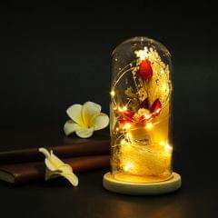 Creative Dried Flower Glass Dome Lamp LED Night Light String Table Lamp Red