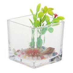 Thickened Glass Ecological System Aquarium Fish Tank Desktop Decor Clear