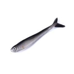 HENGJIA SO101 10 PCS 8cm/2.4g Loach Soft Bait Two-color Small Fish Road Soft Fishing Lure for Sea Fishing
