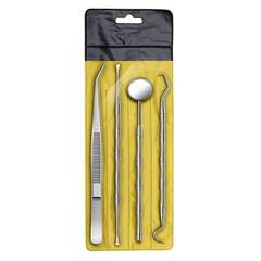 Stainless Steel Dental Tool Set Dentist Tooth Clean Hygiene