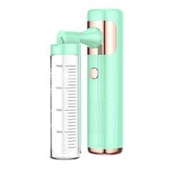 Handheld Nano-Mist Sprayer Oxygen Injection Instrument