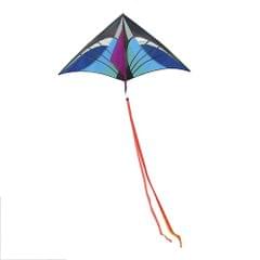 160 x 90cm / 63 x 35.5in Large Delta Kite Outdoor Sport Single Line Flying Kite with Tail for Kids Adults