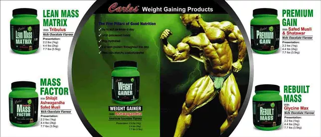 Carlos Weight Gainer Powder (1kg)