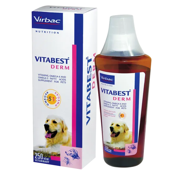 Virbac Vitabest Derm Multivitamin Syrup For Dogs & Cats, 250 ml ( with Omega 6 and Omega 3)