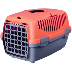 Trixie Pet Carrier - 19x13x12 inch ( color may vary)