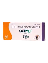 INTAS CEFPET Tablets for Dogs - (1X10 TAB)