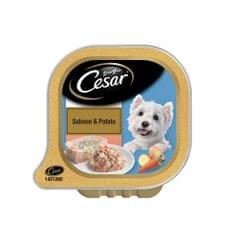 Cesar Adult Wet Dog Food - Salmon and Potato Flavor
