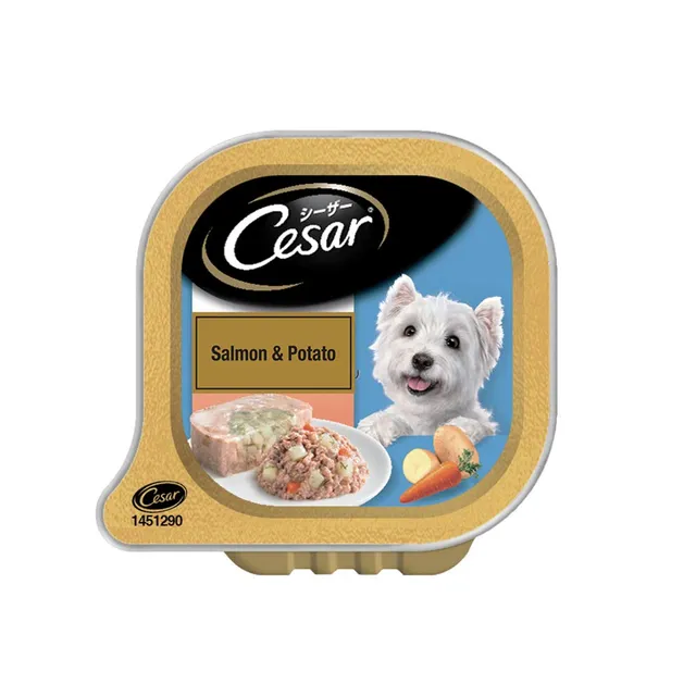 Cesar Adult Wet Dog Food - Salmon and Potato Flavor