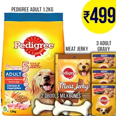 Combo: Pedigree Adult Dry Food, 1.2kg + Meat Jerky + 3 Gravy packets + 2 calcium milkbones