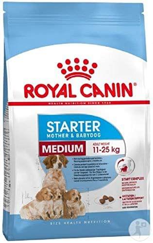 Royal Canin - Medium Starter (1 kg)