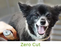 Zero Cut