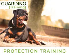 Protection Training - Guarding