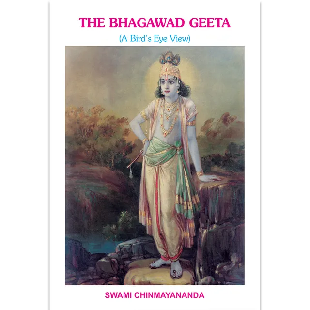 The Bhagavad Gita - A Bird's Eye View