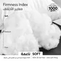 Single Hotel Striped Cotton Pillow ,100% Cotton shell ,Double Edge Stitched ,  Premium Gel Fiber 1 Kg Filling , 50x75, Soft Loft