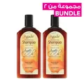 Argan Oil Daily Moisturizing Shampoo 366 ml (2 Pieces)