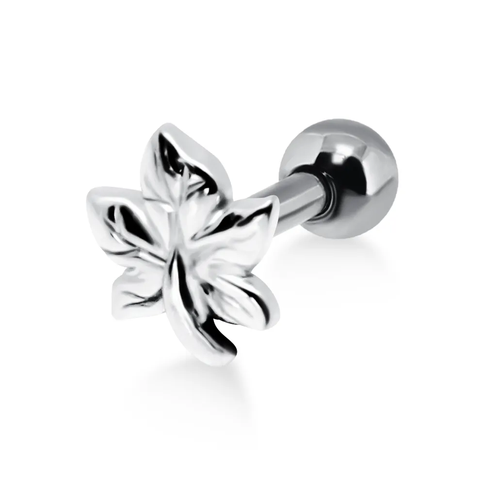 Ear Piercing - EH04 Helix Silver Nature
Size   
1.2x6x3mm
