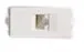 RJ45 Network Wall Plate Female to Female