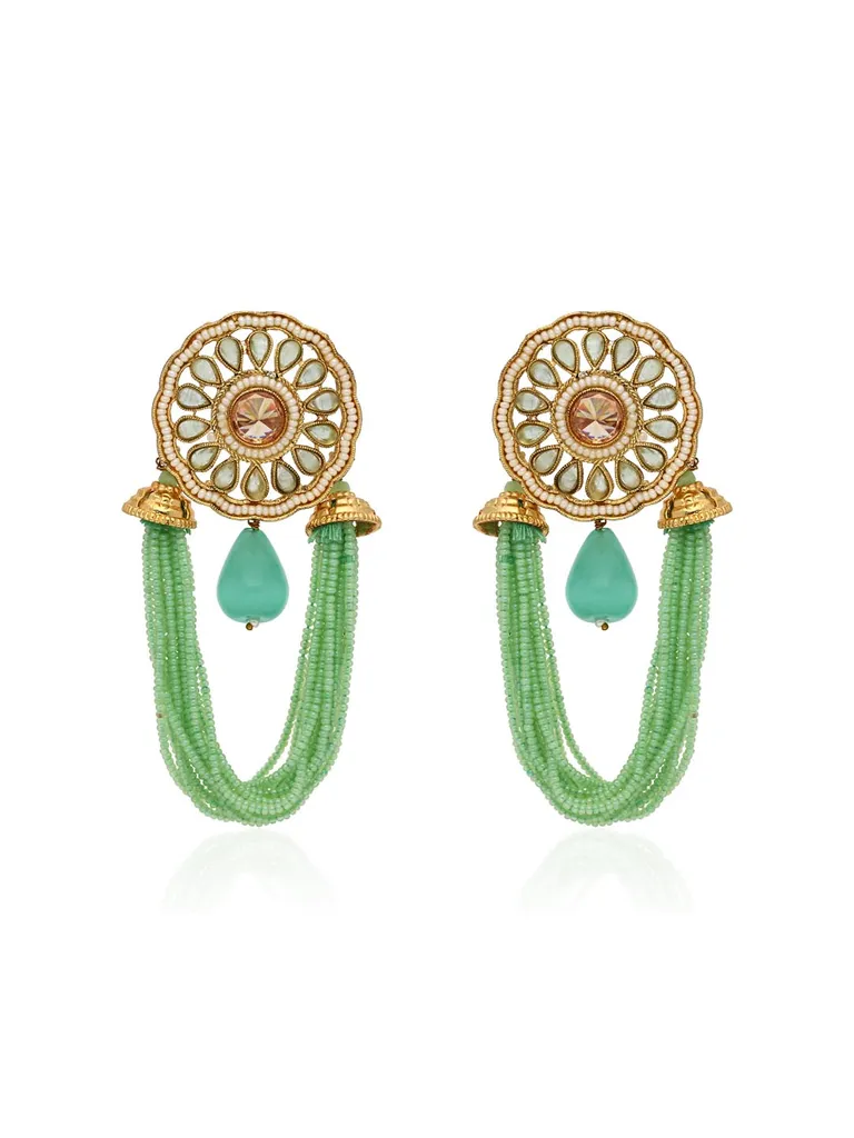 Traditional Long Earrings in Gold finish - CNB28498