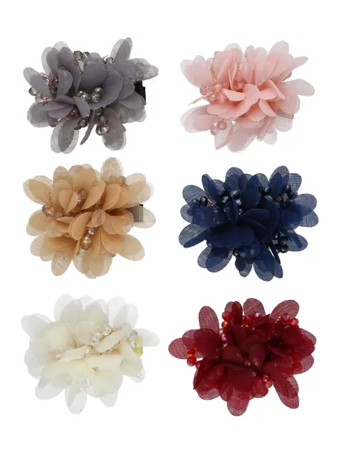 Fancy Hair Clip in Assorted color - CNB36280