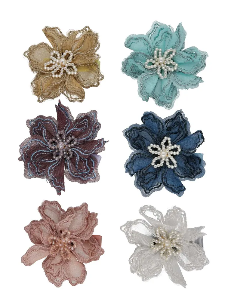 Fancy Hair Clip in Assorted color - CNB36281
