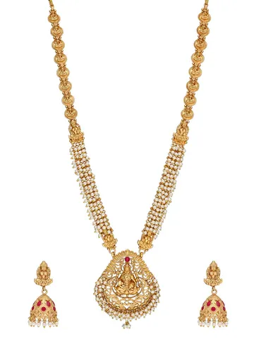 Temple Long Necklace Set in Rajwadi finish - AMN816