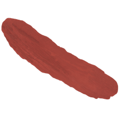 Velvet Matte Lipstick - Spicy Cinnamon