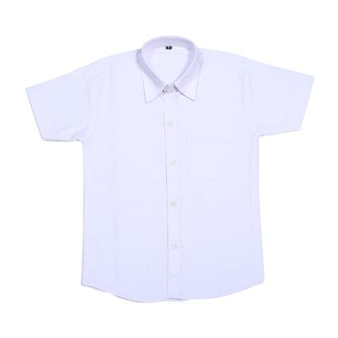 Half Sleeve Shirt Without Logo (Jr. Level to Std. 7th)
