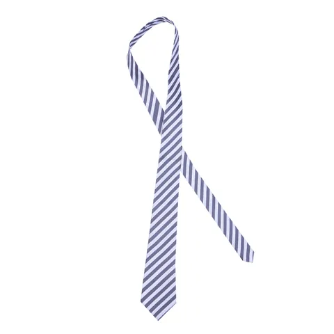 Neck Tie With Stripes (Std. 8th to 10th)