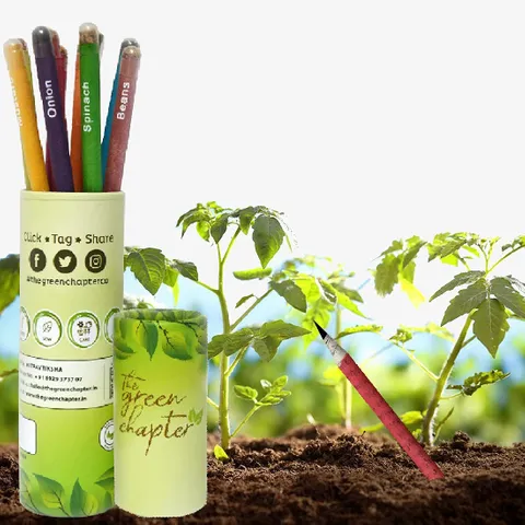 The Green Chapter - Plantable Seed Pencil Set of 10 Gift Set