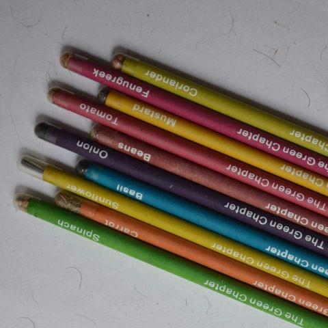 The Green Chapter Ecofriendly Plantable Pencils Stationery for School | Office | Seed Pencils