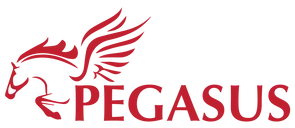 Pegasus