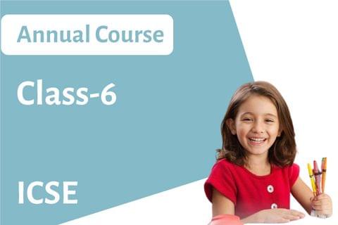 ICSE Class 6 Annual Course