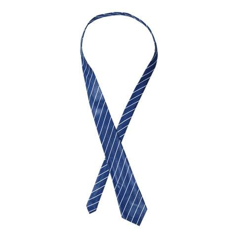 Neck Tie With Lining (Std. 8th to 10th)