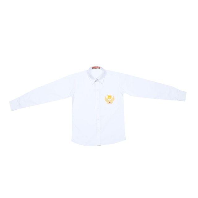 Shirt (5th to 10th Level)