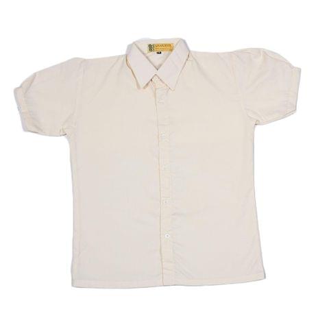 Blouse (5th to 10th Level)