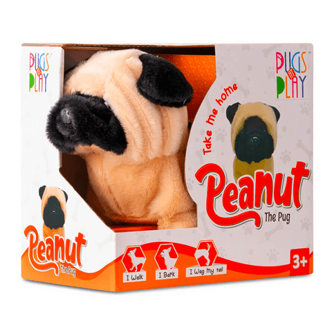 Fuzzbuzz Pugs At Play - Peanut The Pug