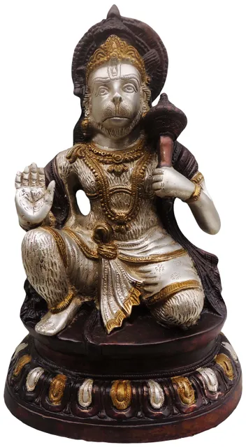 Brass Showpiece Hanuman Ji Statue - 10*6.5*15 Inch (BS488 A)